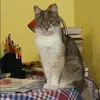 Отзыв от Эльвира Швецова